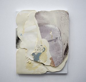 Nikola Ukic - untitled (Expanded Fields) - elastic polyurethane, pigment, UV print transfer on canvas - 2013